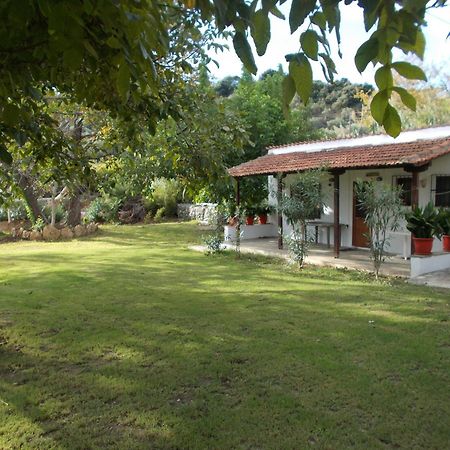 Villa Mina Potisztiká Kültér fotó
